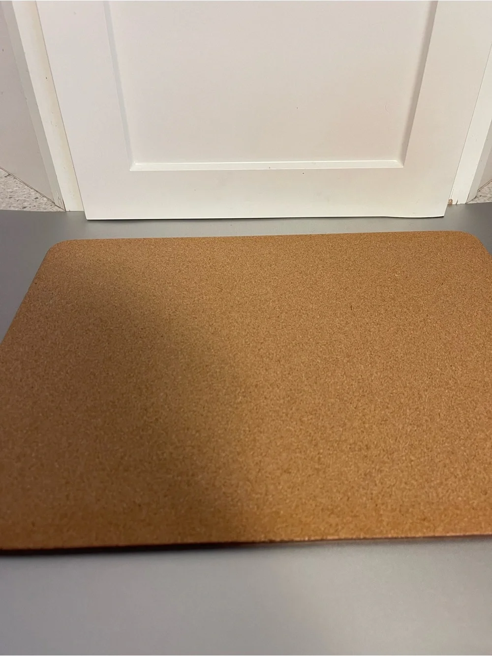 Williams Sonoma La Mer Cork Green Fish  Placemat Theme 16x12 Like New Blue Trim